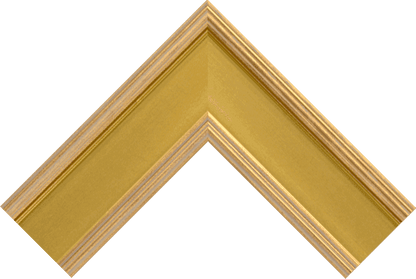 Canvas Framing - Read Description - Andy Thomas Designs